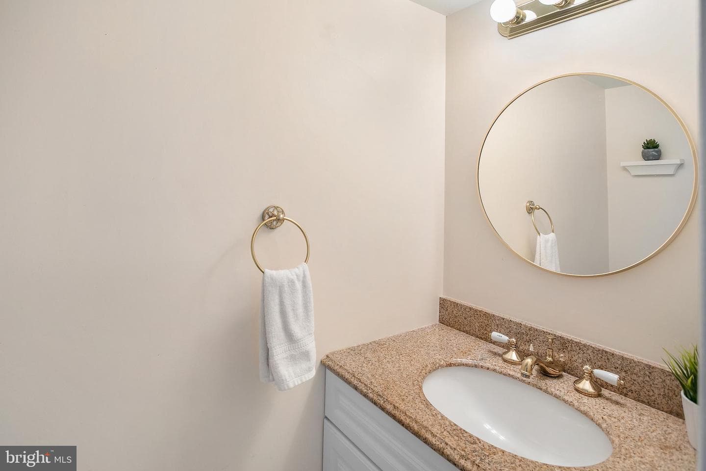 10103 Sassafras Woods Court photo 10
