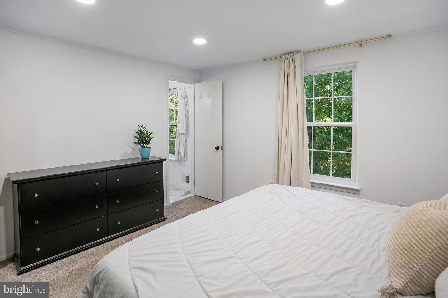 10103 Sassafras Woods Court photo 13