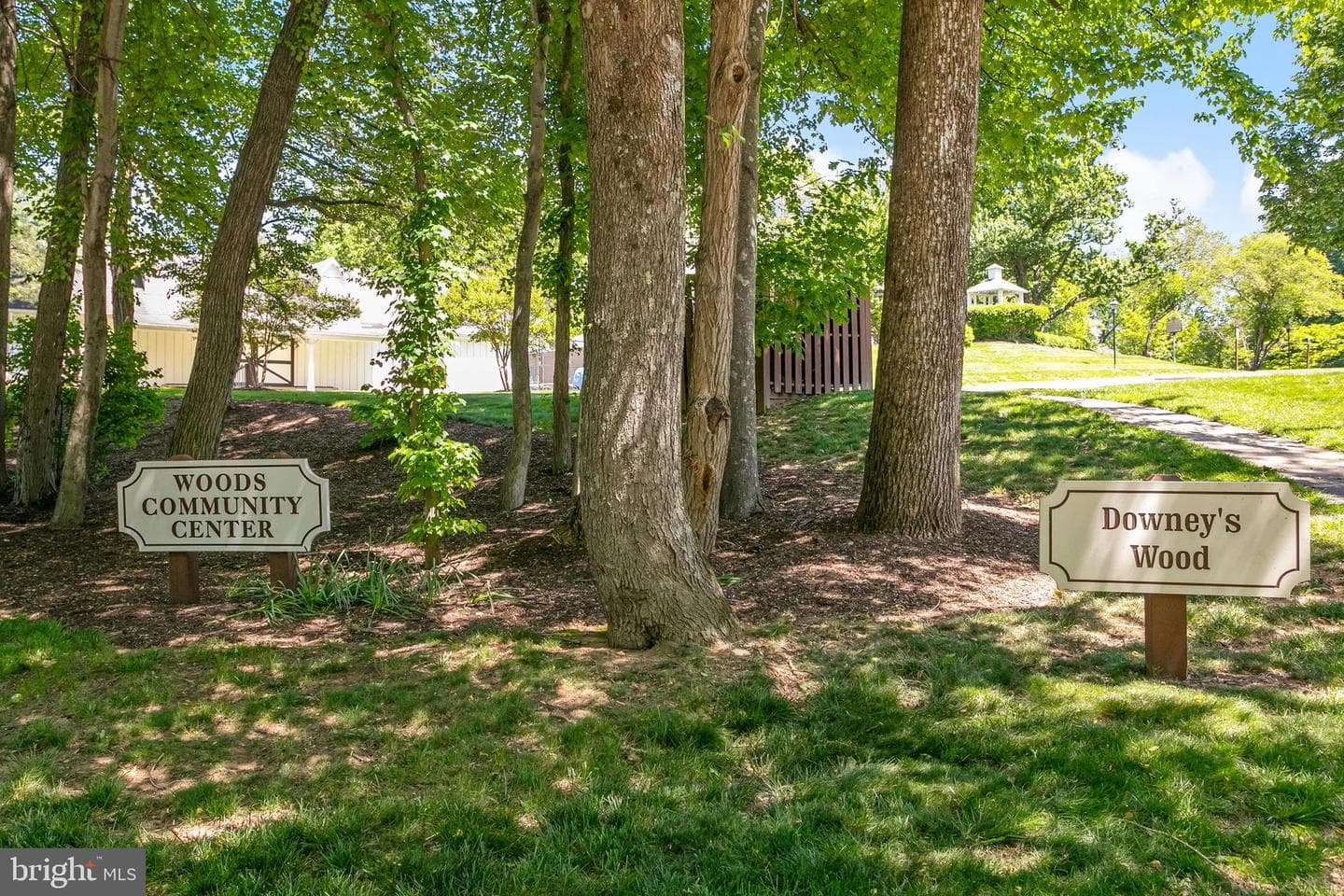 10103 Sassafras Woods Court photo 33