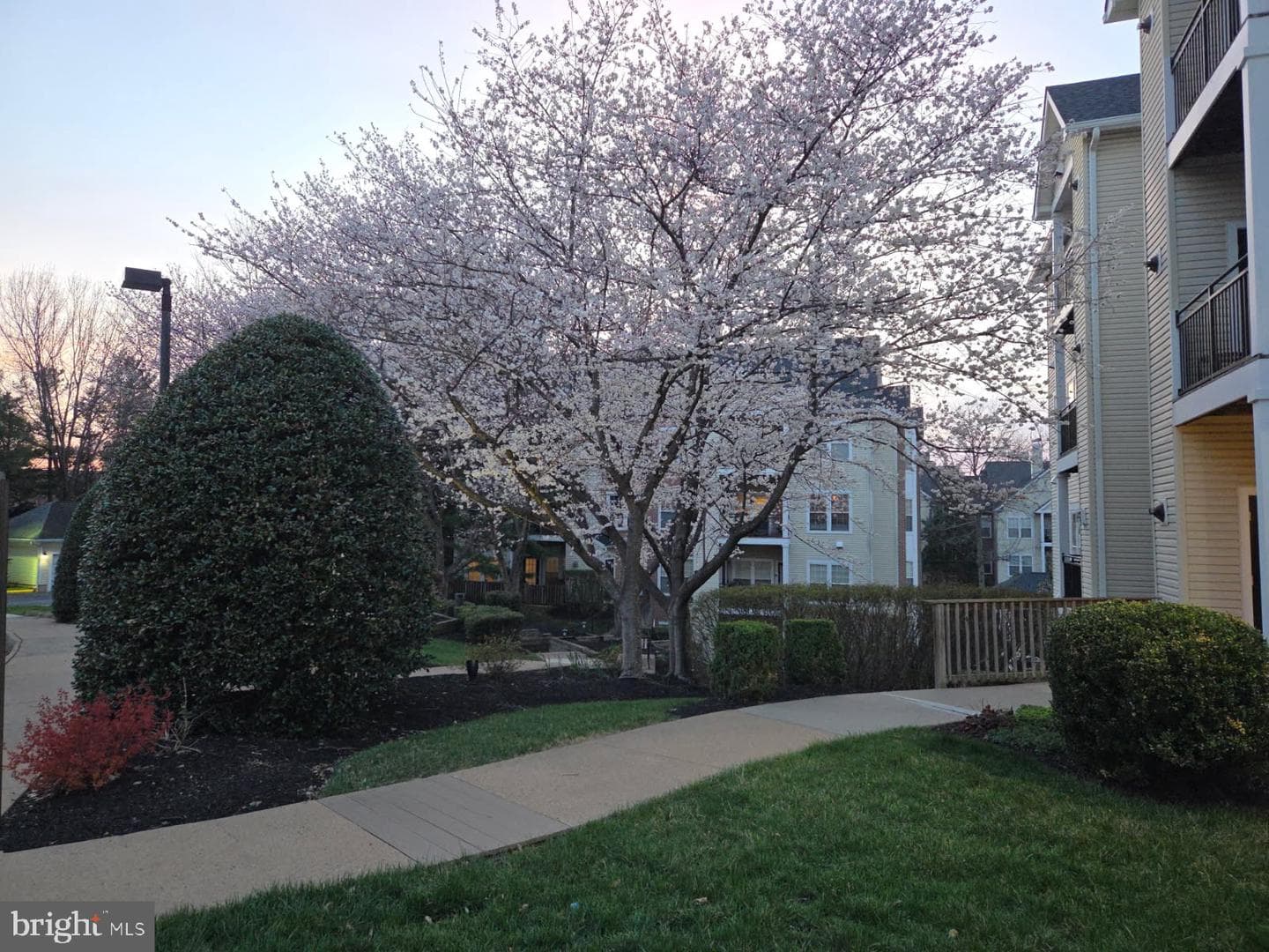 4135 Fountainside Lane #101 photo 22