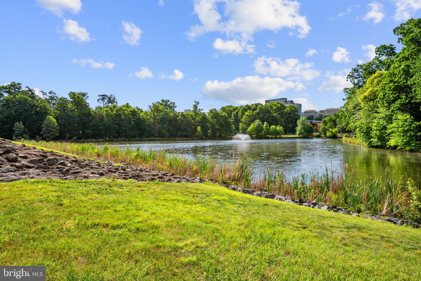 1708 Lake Shore Crest Dr # 23 photo 51