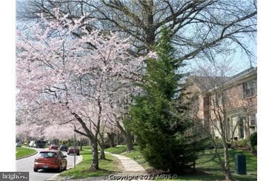 5907 Noblestown Road photo 16
