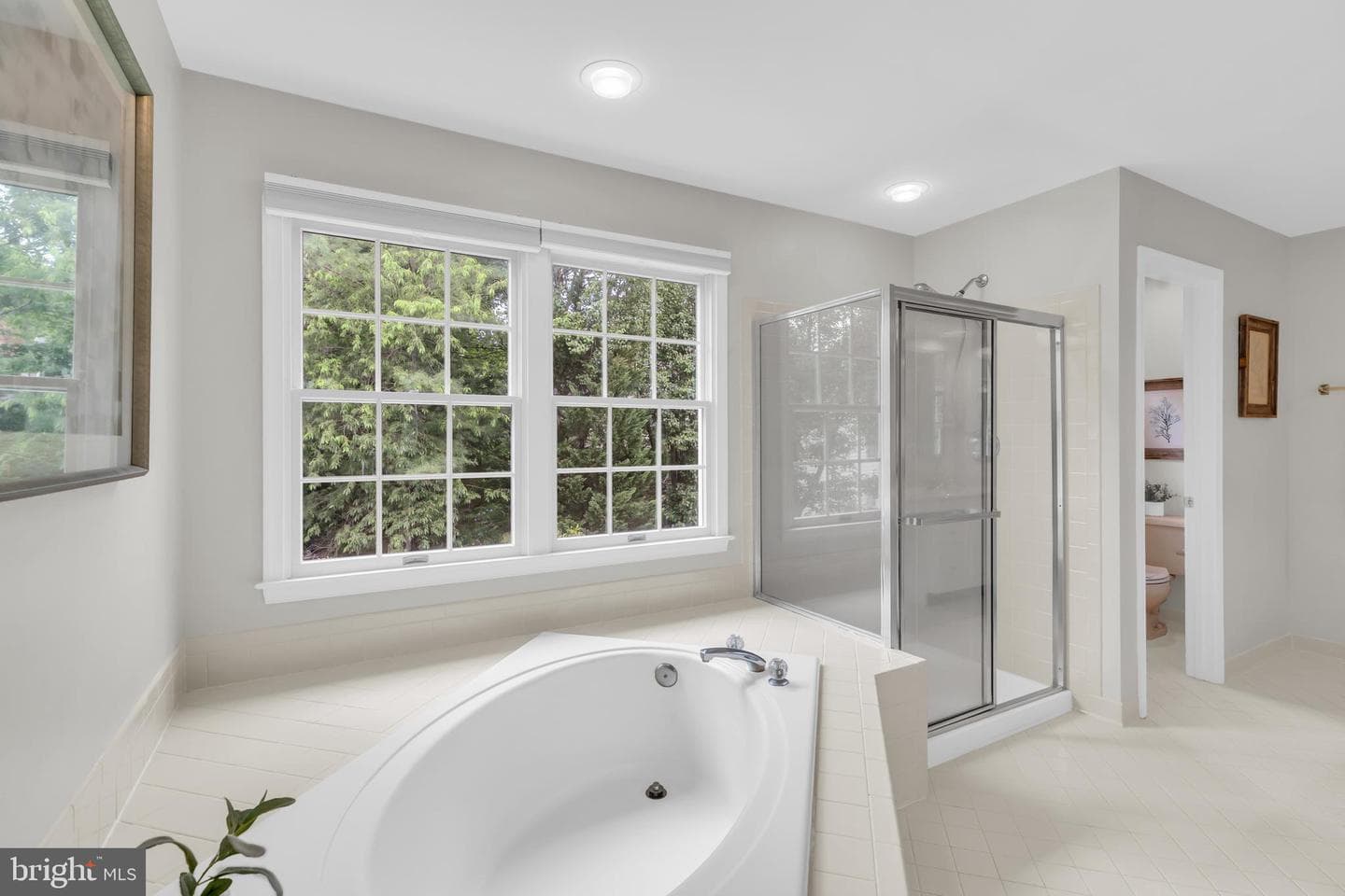 8006 Comerford Drive photo 34