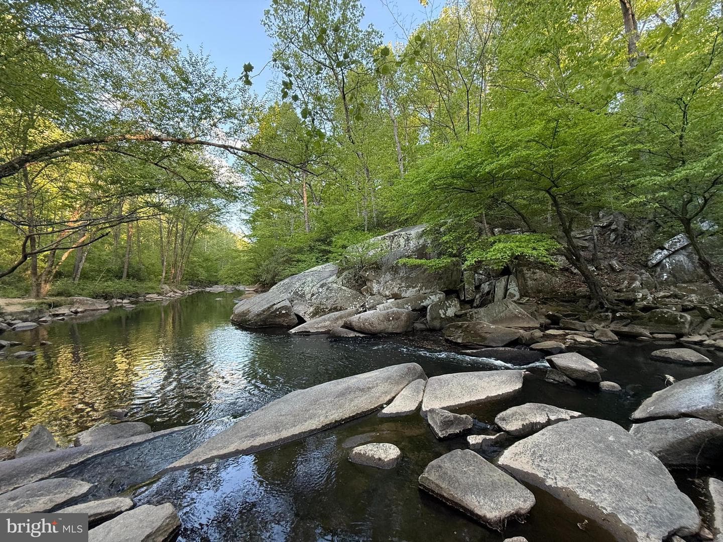 7920 Bubbling Brook Circle photo 49