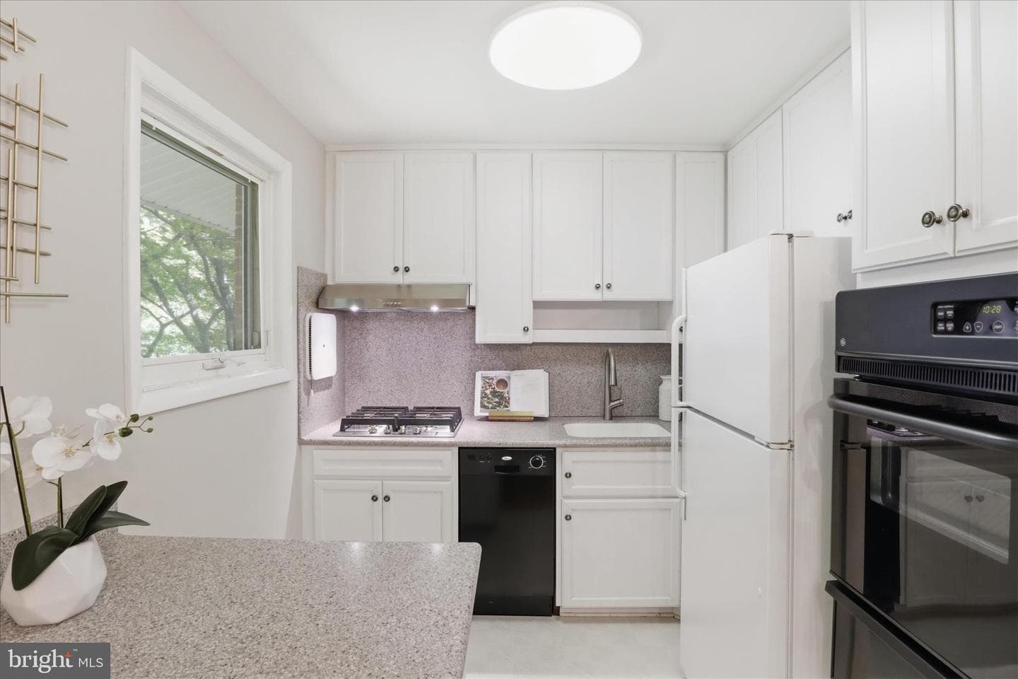 2026 Dexter Dr photo 10