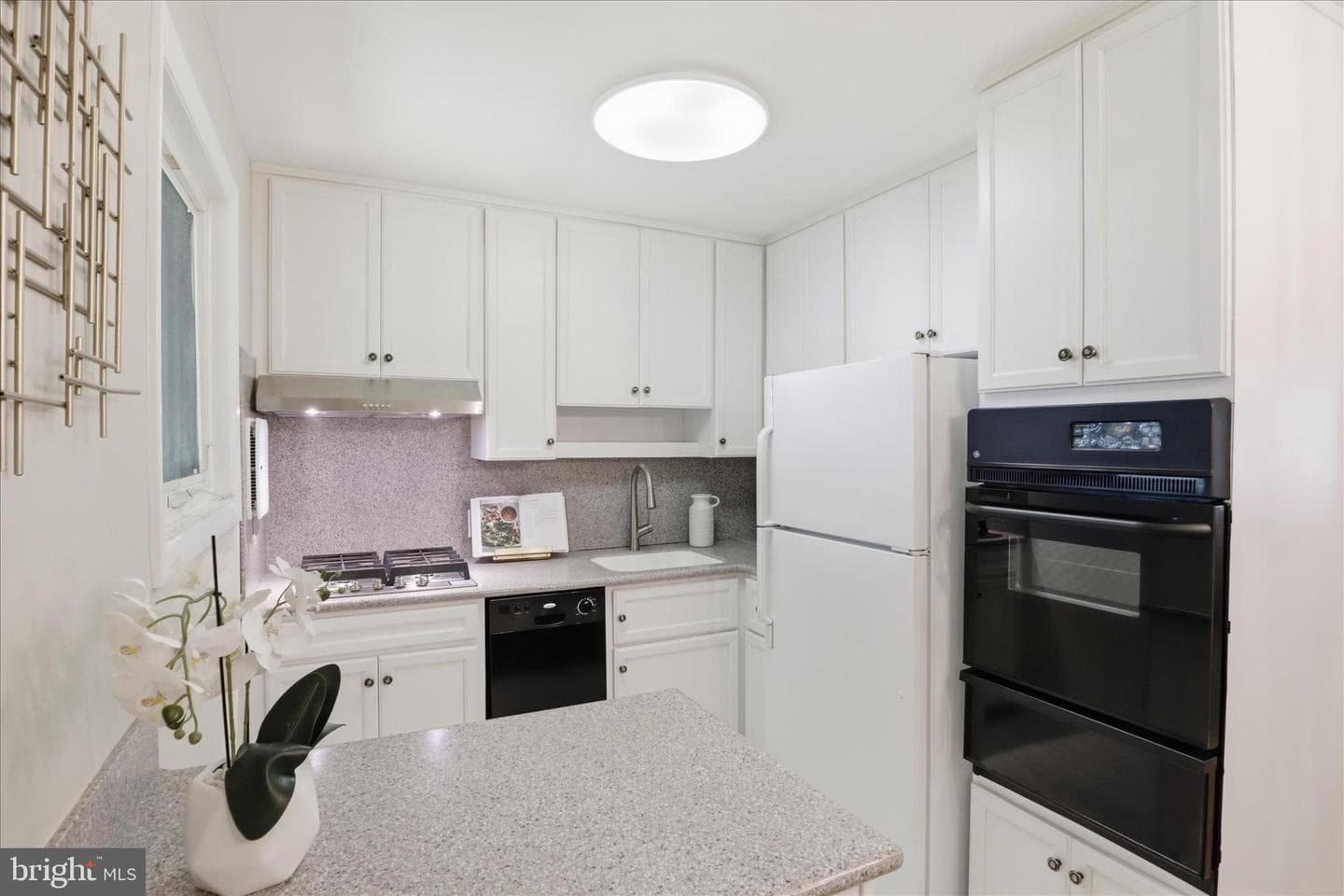 2026 Dexter Dr photo 11