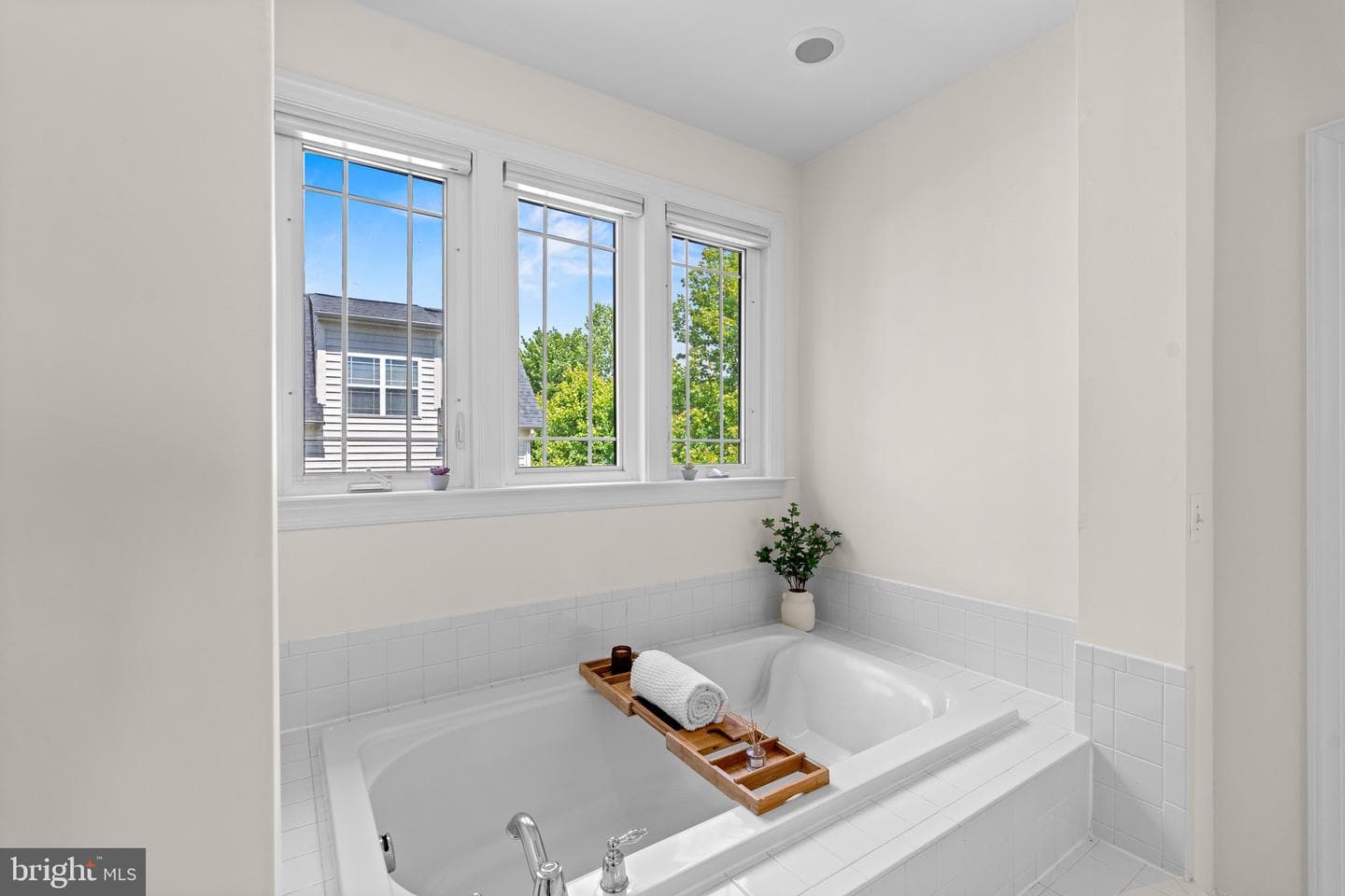8717 Flowering Dogwood Lane photo 25