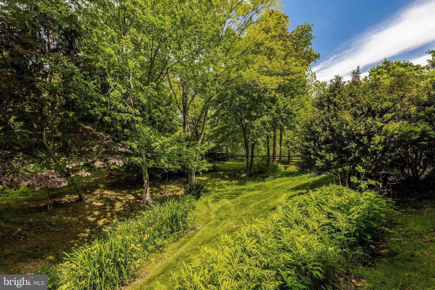 11394 Fox Vale Glen Court photo 69