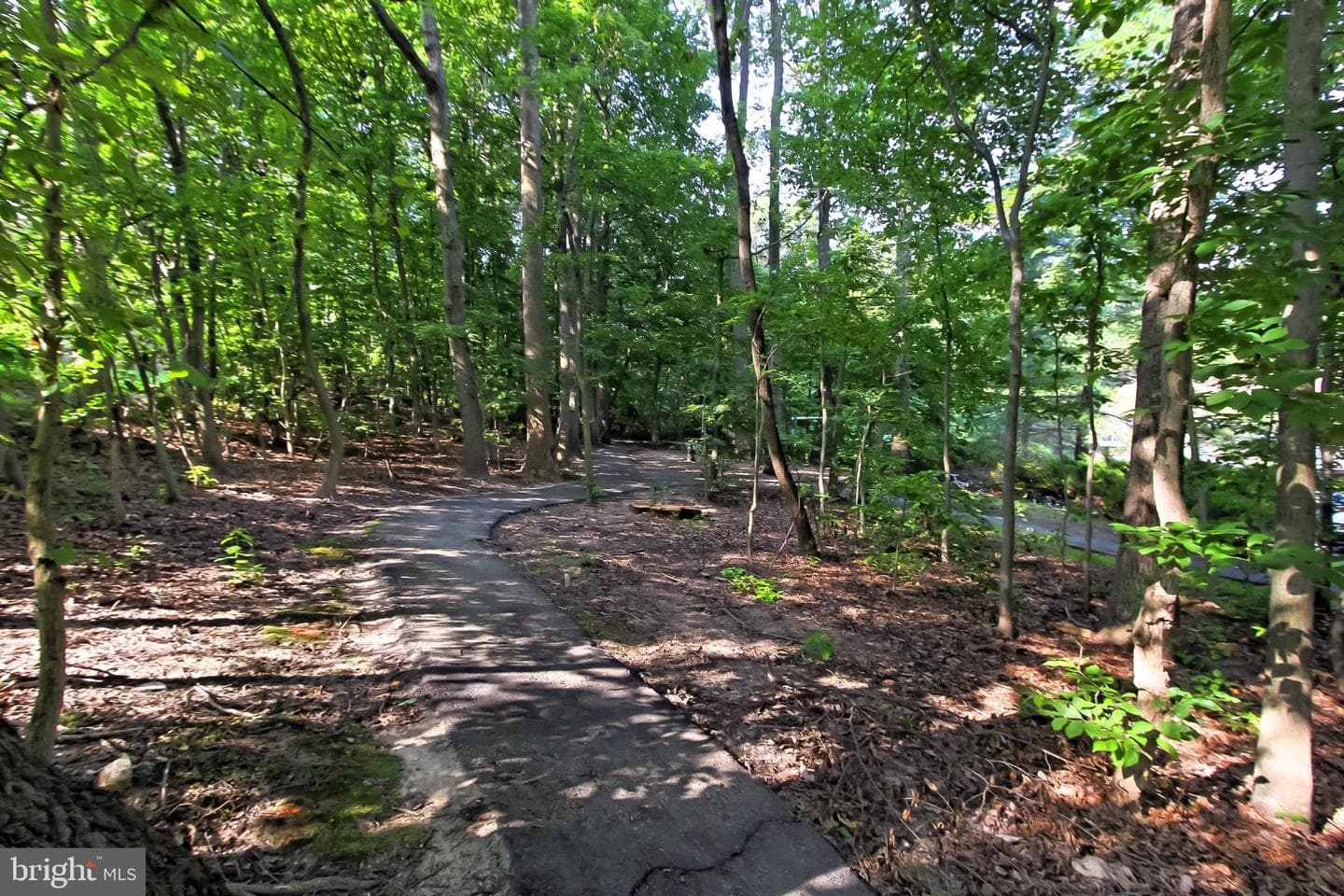 5835 Cove Landing Road #304 photo 33