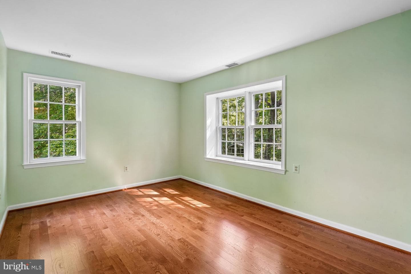 10802 Dayflower Court photo 24
