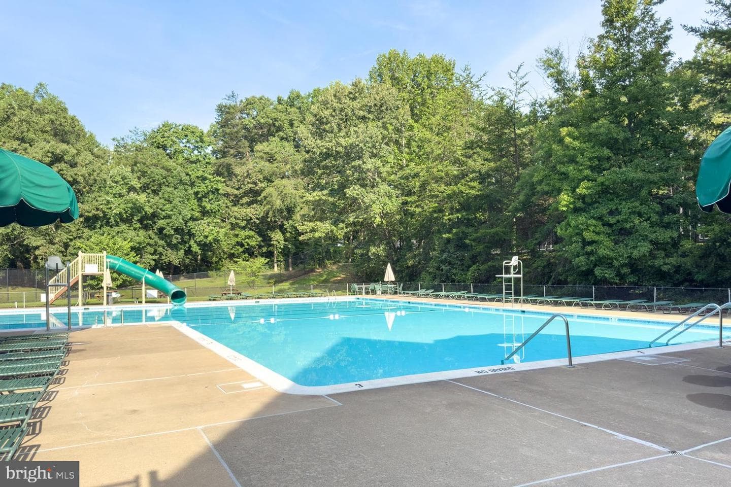 10869 Oak Green Court photo 45