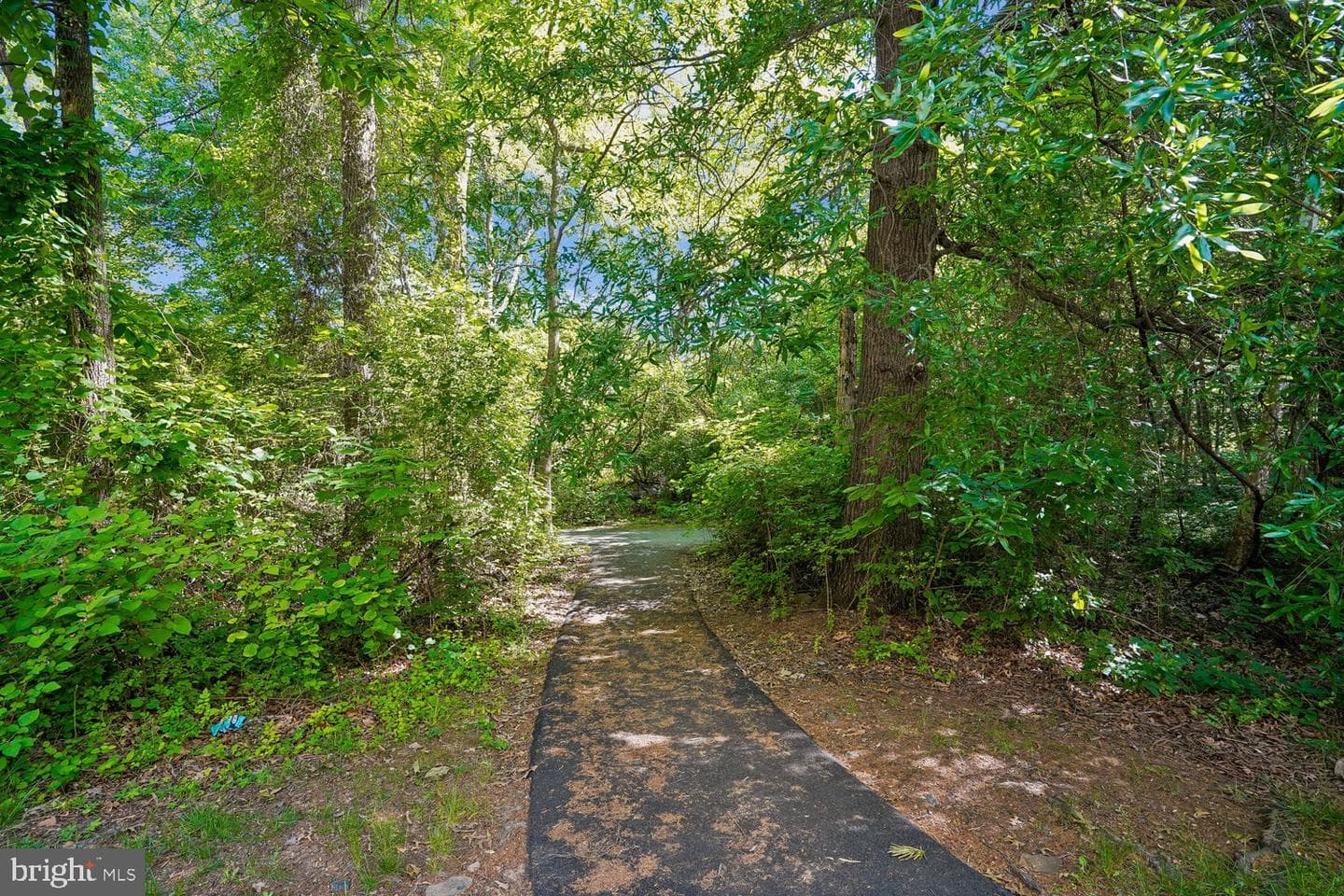 13514 Davinci Lane #61 photo 37