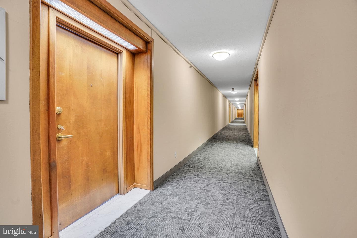 5501 Seminary Road #1908s photo 11