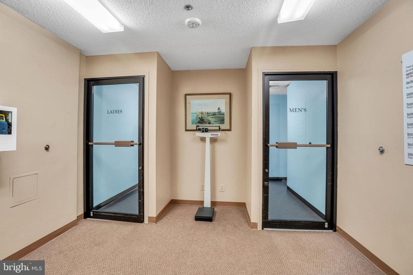 5501 Seminary Road #1908s photo 40