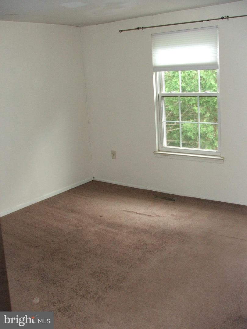 10210 Sassafras Woods Court photo 14