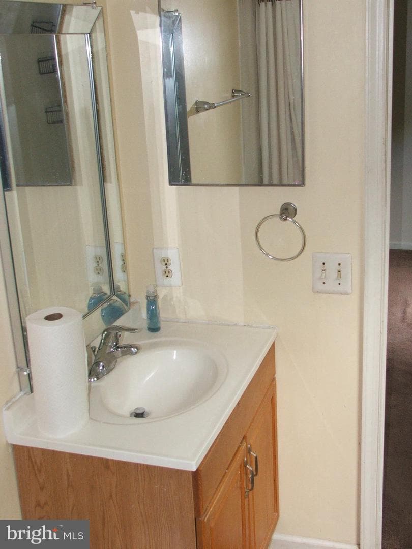10210 Sassafras Woods Court photo 16