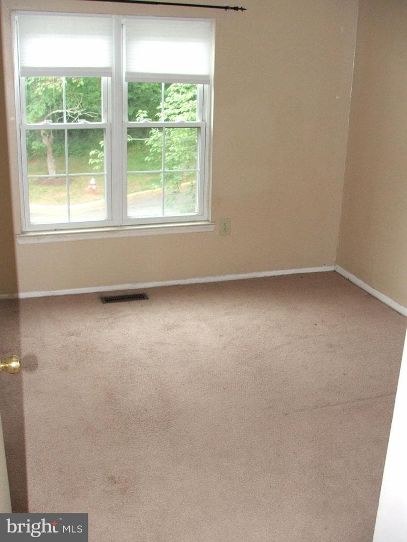 10210 Sassafras Woods Court photo 19