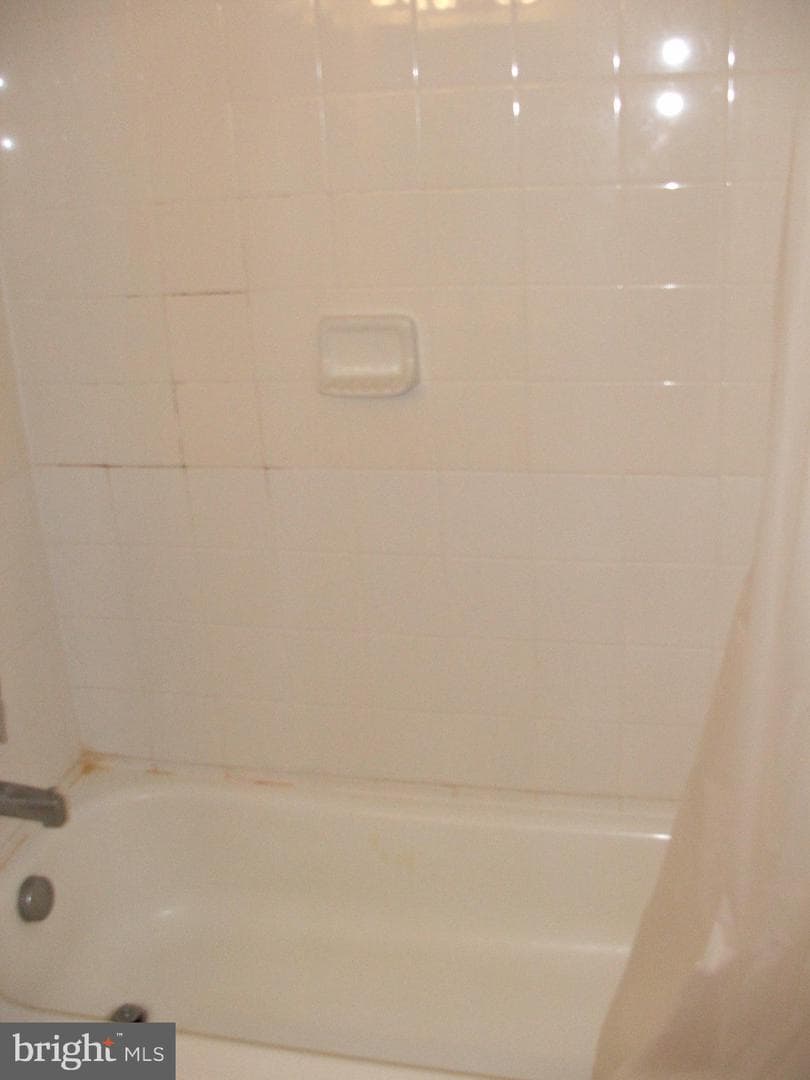 10210 Sassafras Woods Court photo 20