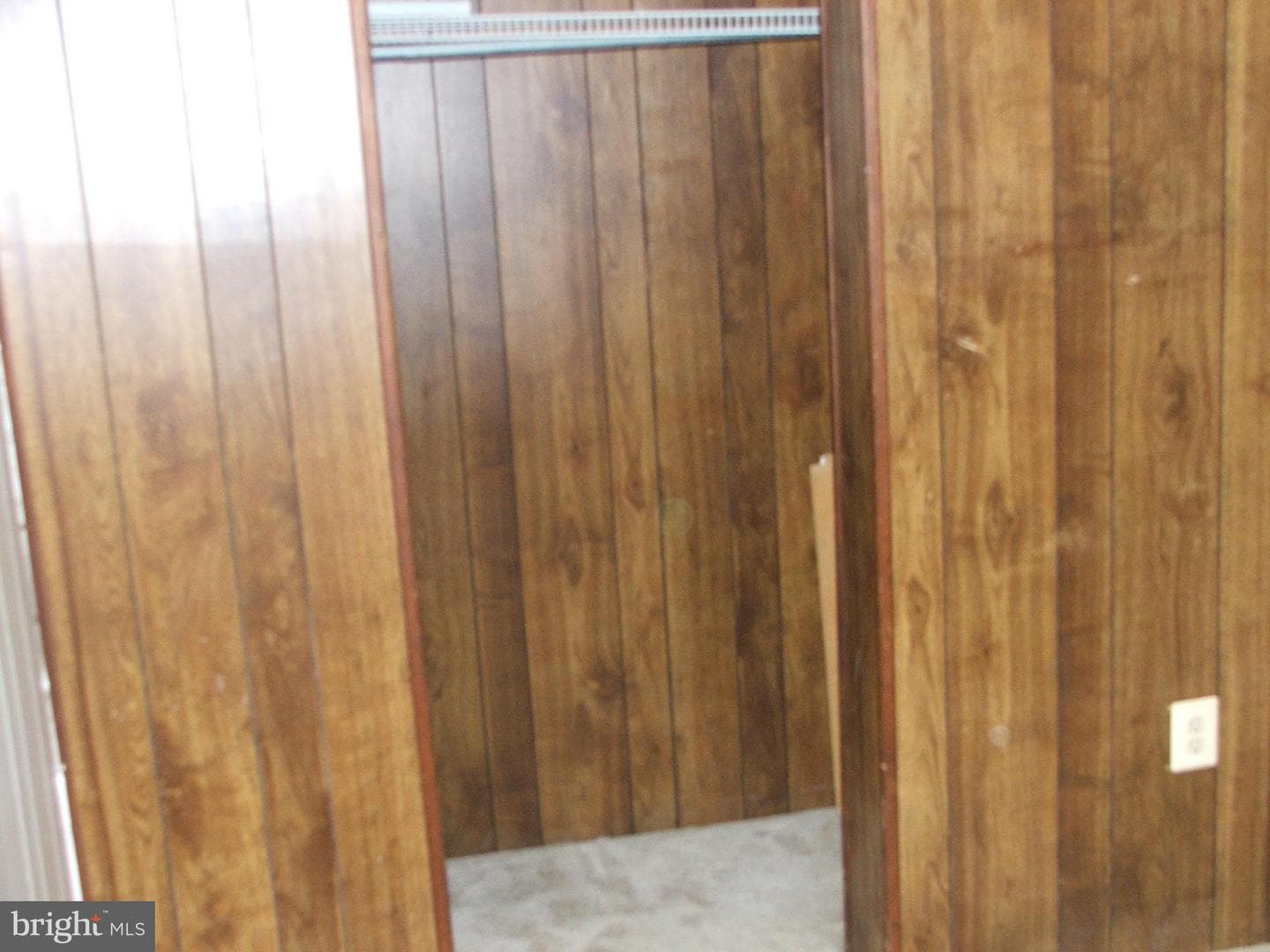 10210 Sassafras Woods Court photo 25