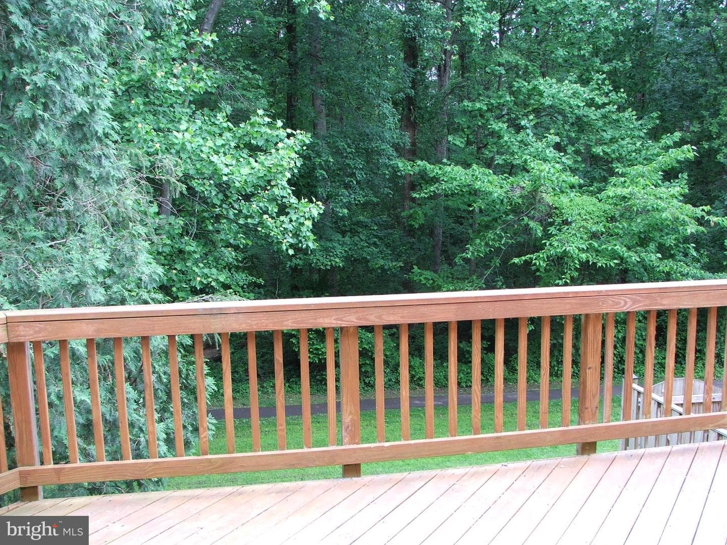 10210 Sassafras Woods Court photo 4