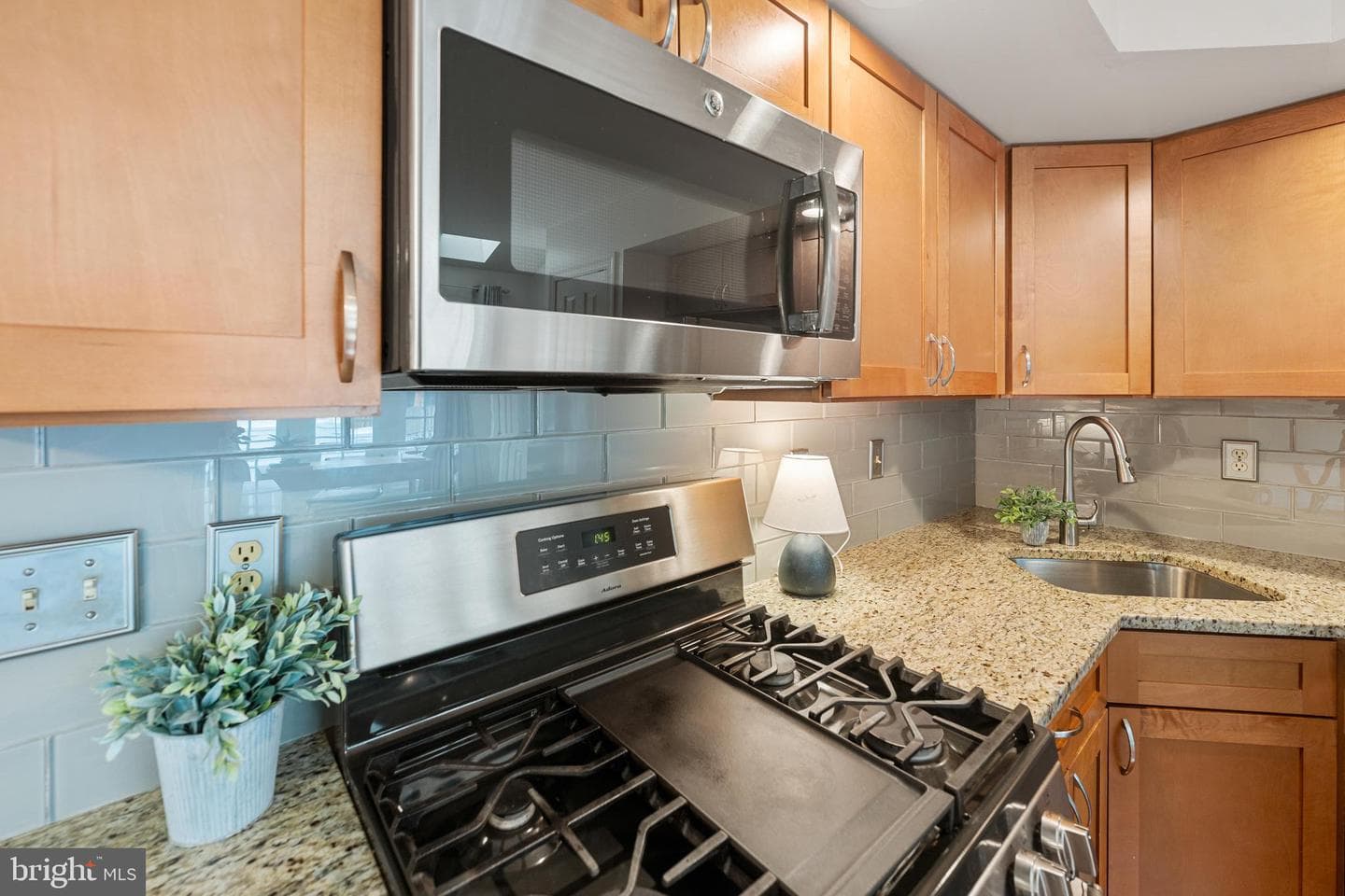9536 Shepherd Hills Drive photo 5