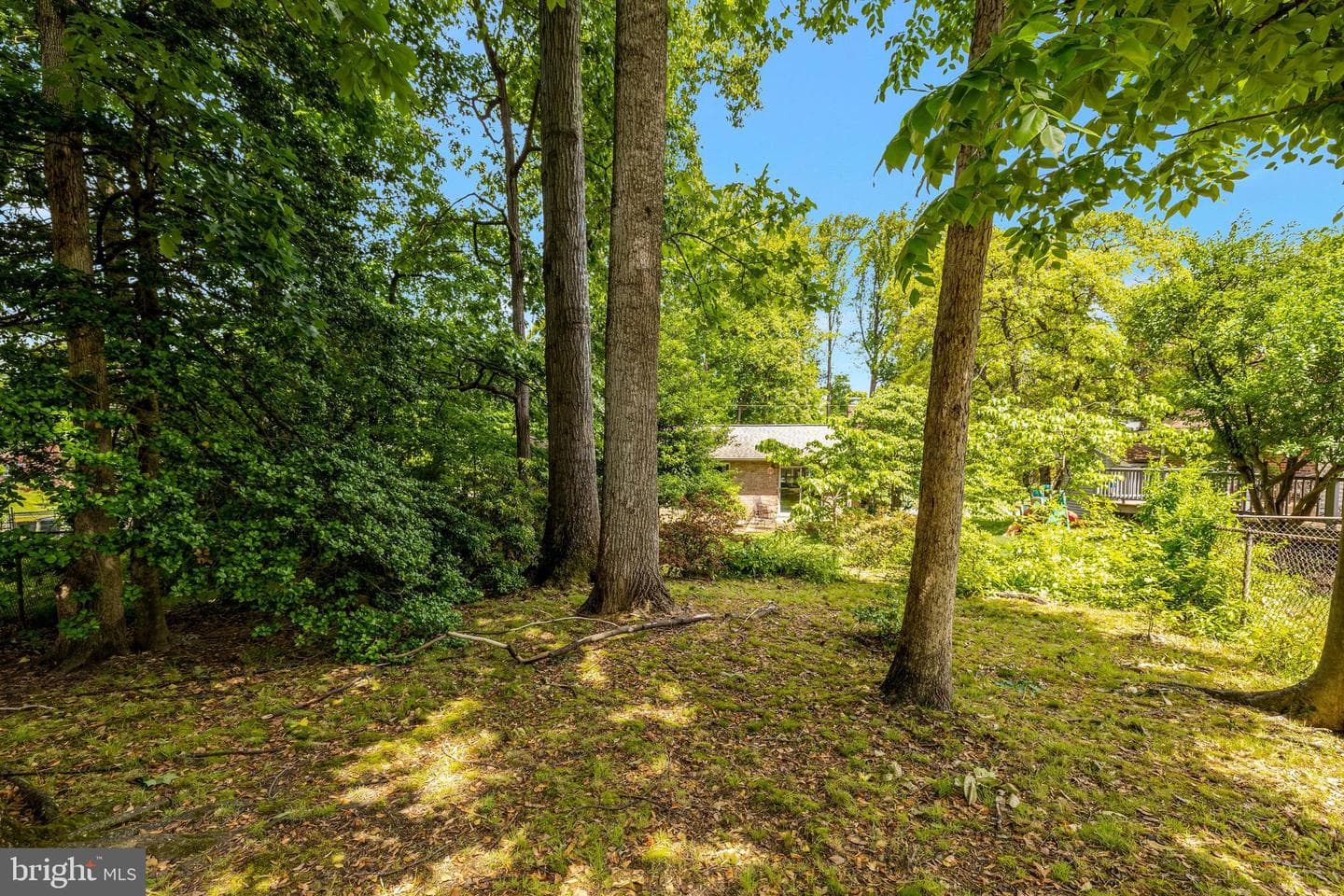 8803 Kenilworth Drive photo 40