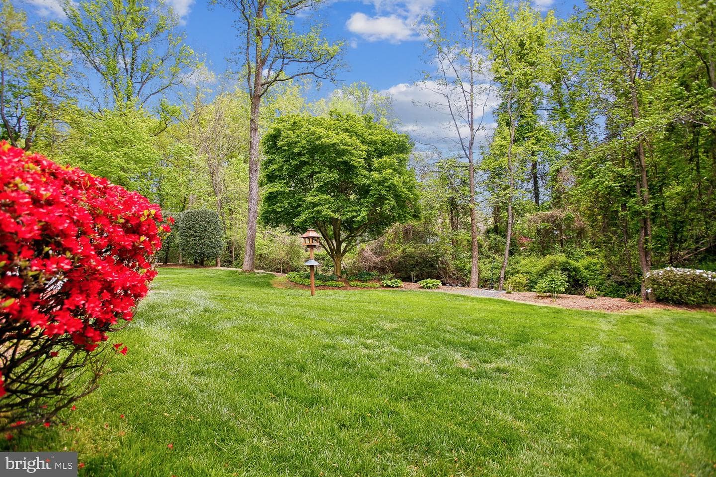 3513 Beverly Drive photo 59