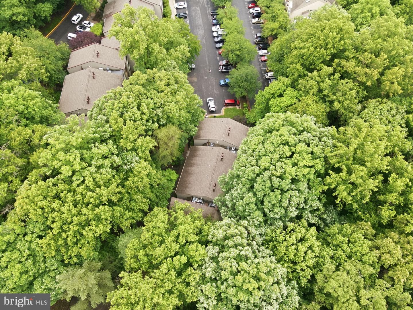 11721 Karbon Hill Court #201 photo 32