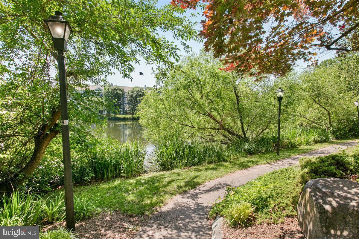 14305 Climbing Rose Way #101 photo 20