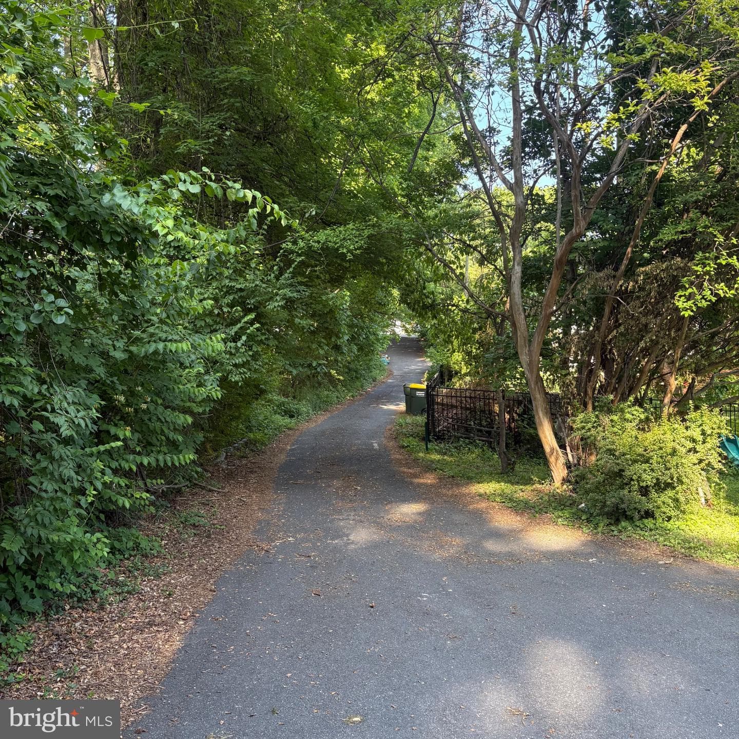 3502 Holly Road photo 56