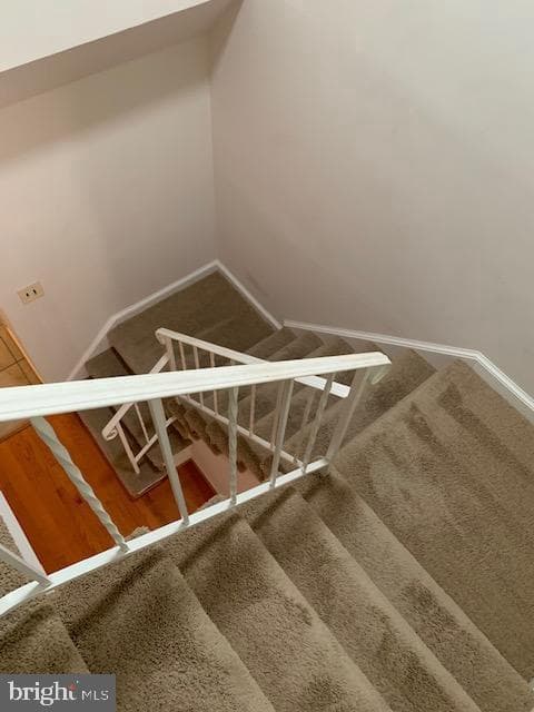7416 Spring Tree Drive photo 19