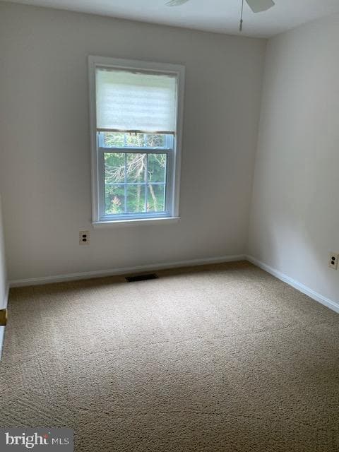 7416 Spring Tree Drive photo 32