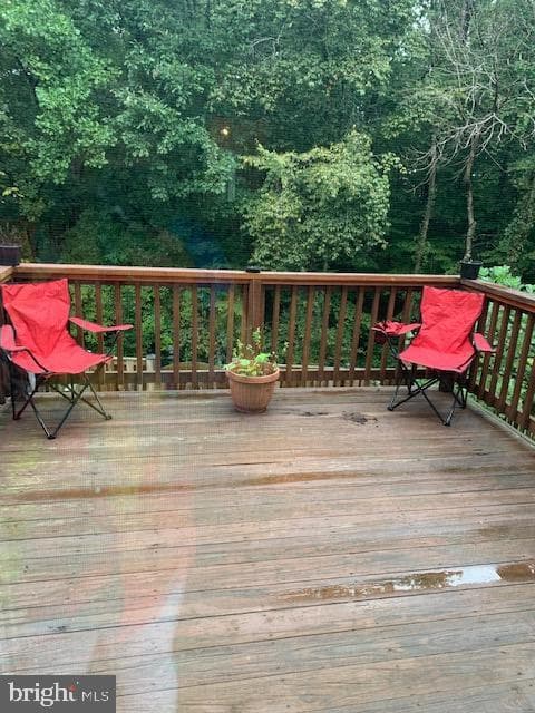 7416 Spring Tree Drive photo 36