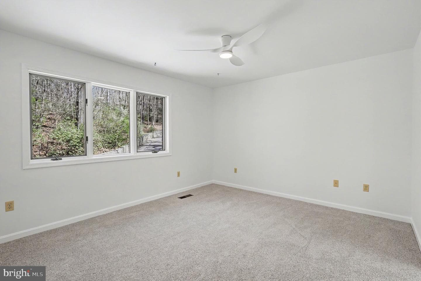 8406 Cathedral Forest Drive photo 21