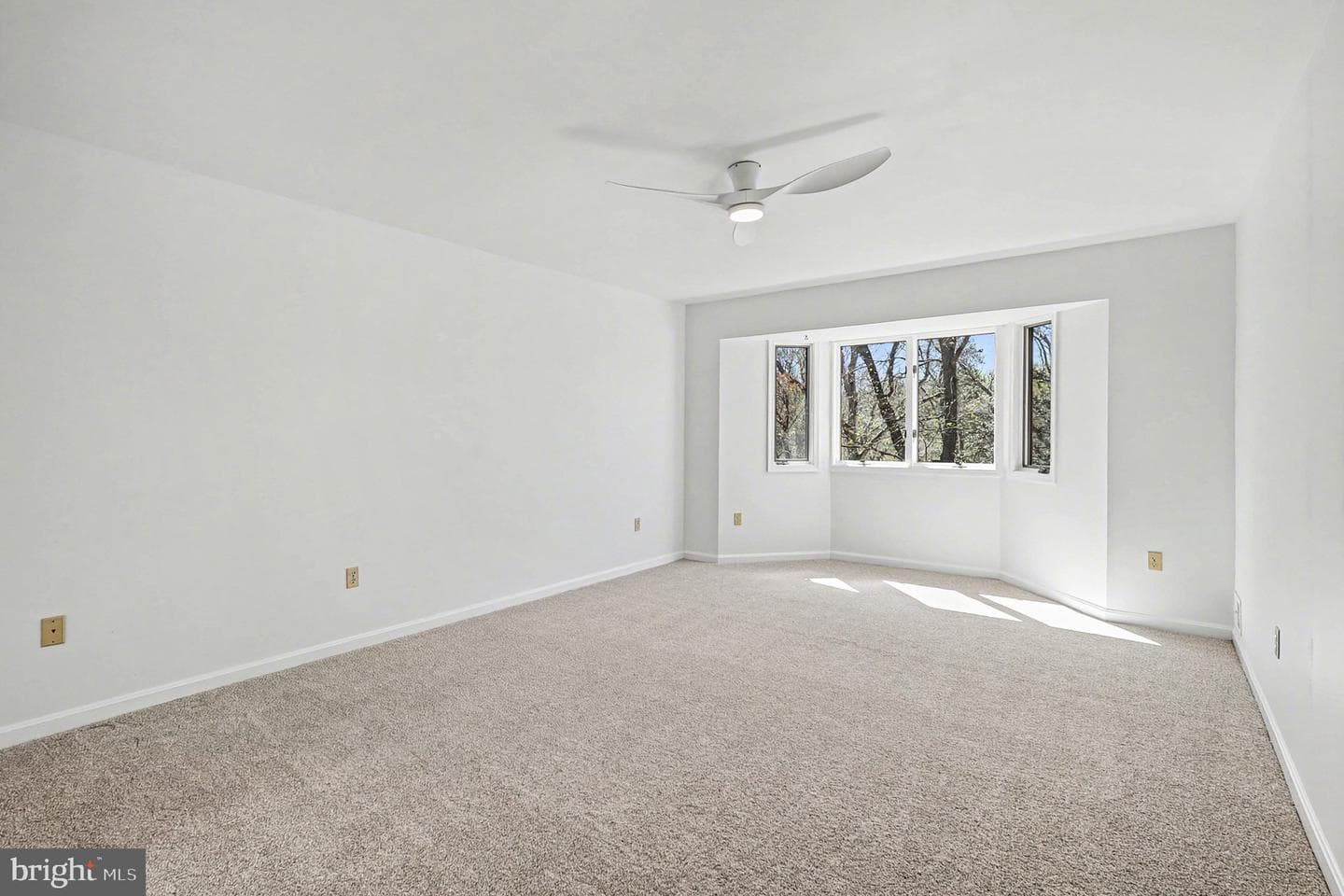 8406 Cathedral Forest Drive photo 22