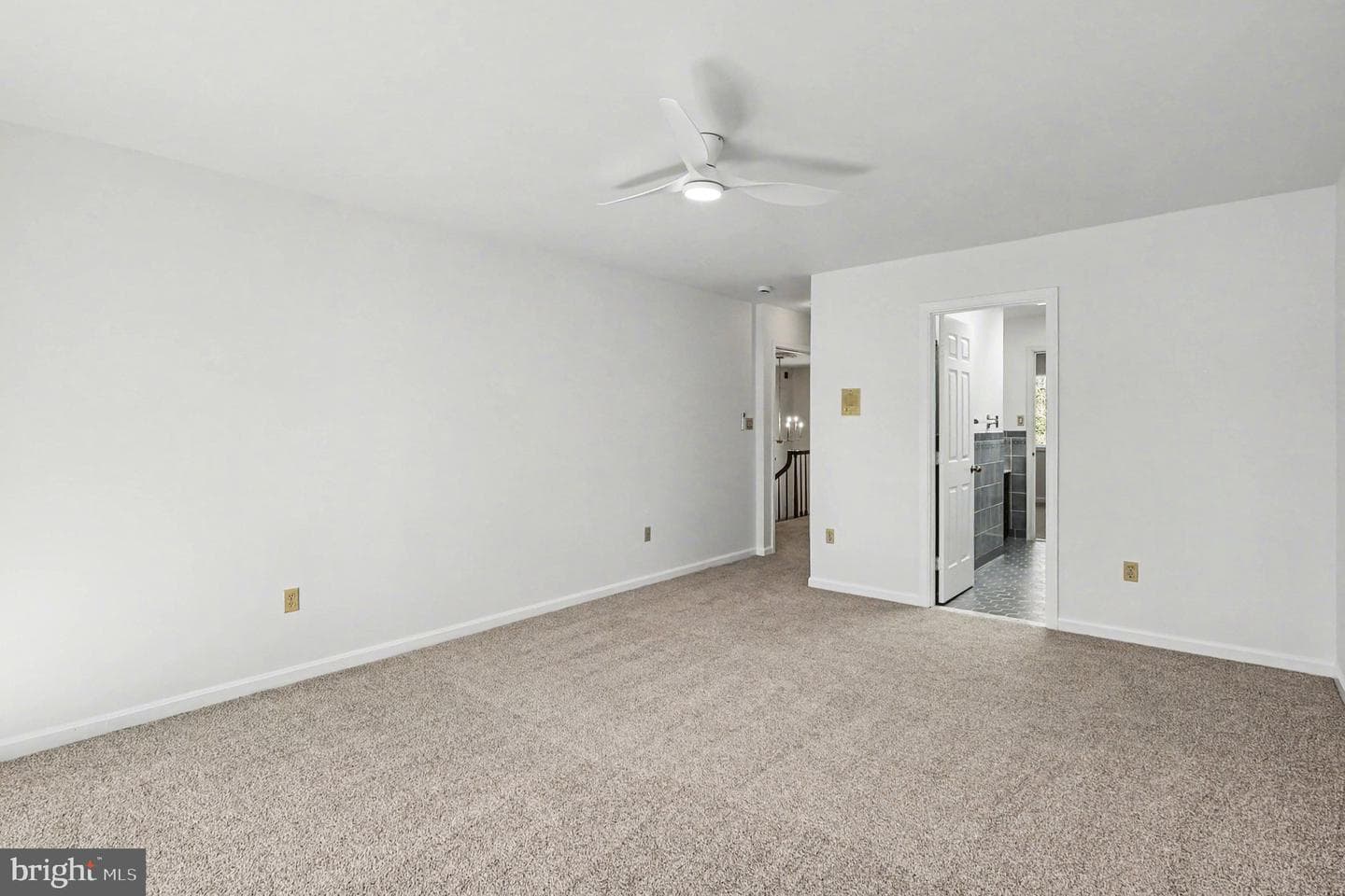 8406 Cathedral Forest Drive photo 23