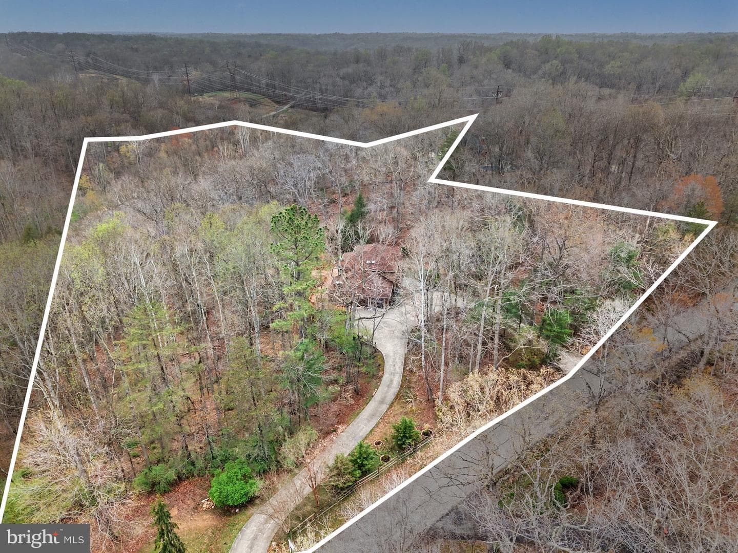 8406 Cathedral Forest Drive photo 3