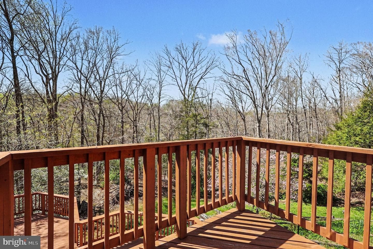 8406 Cathedral Forest Drive photo 35