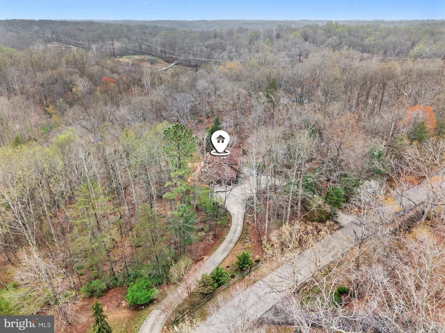 8406 Cathedral Forest Drive photo 43