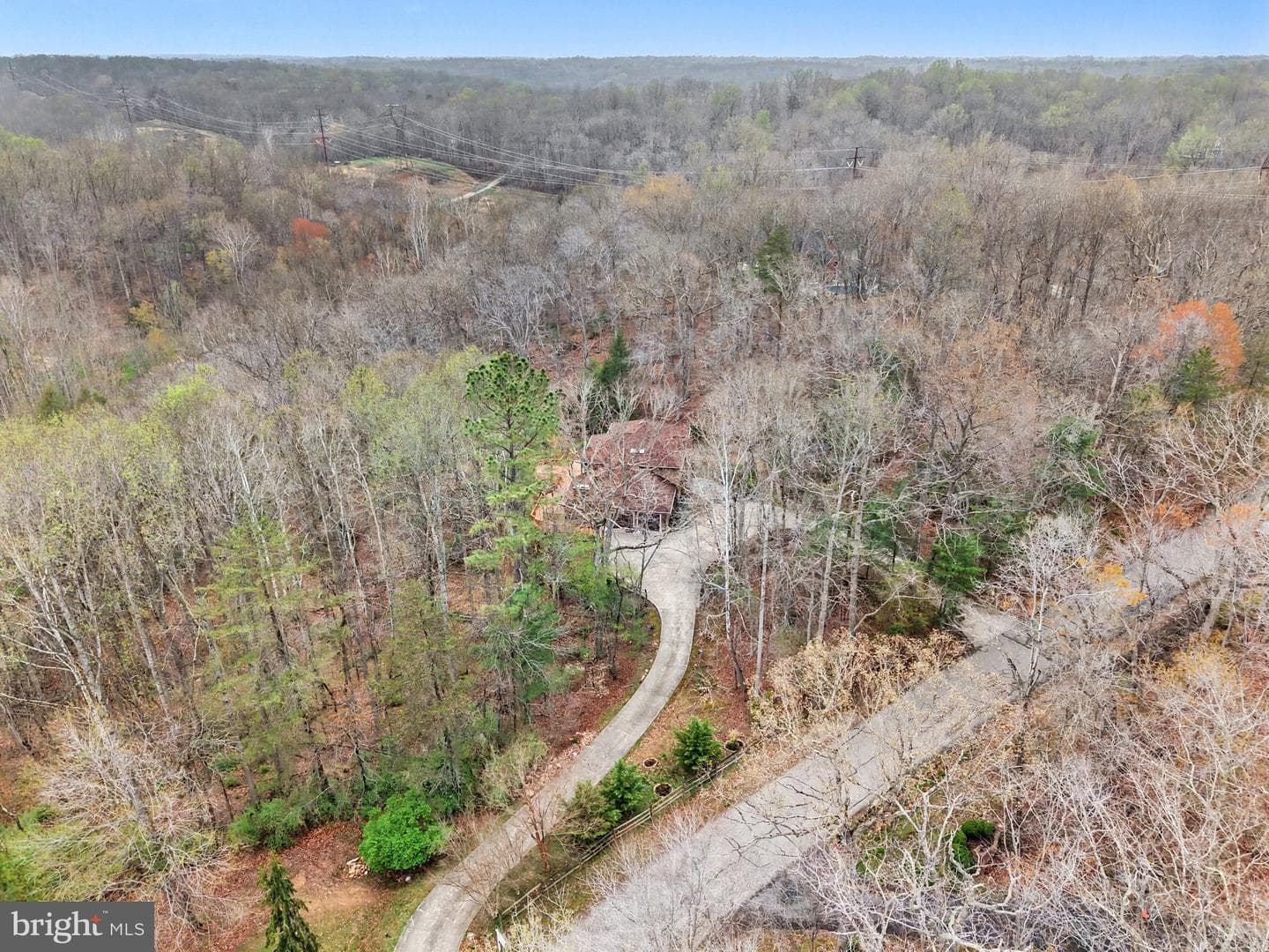 8406 Cathedral Forest Drive photo 44