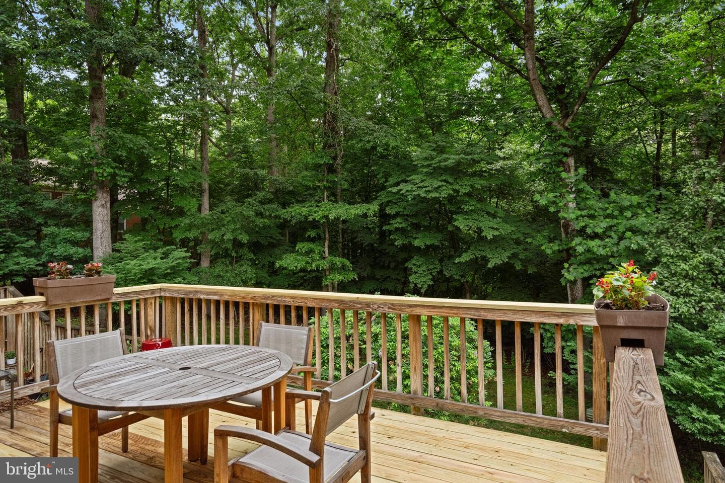 2303 Middle Creek Lane photo 14