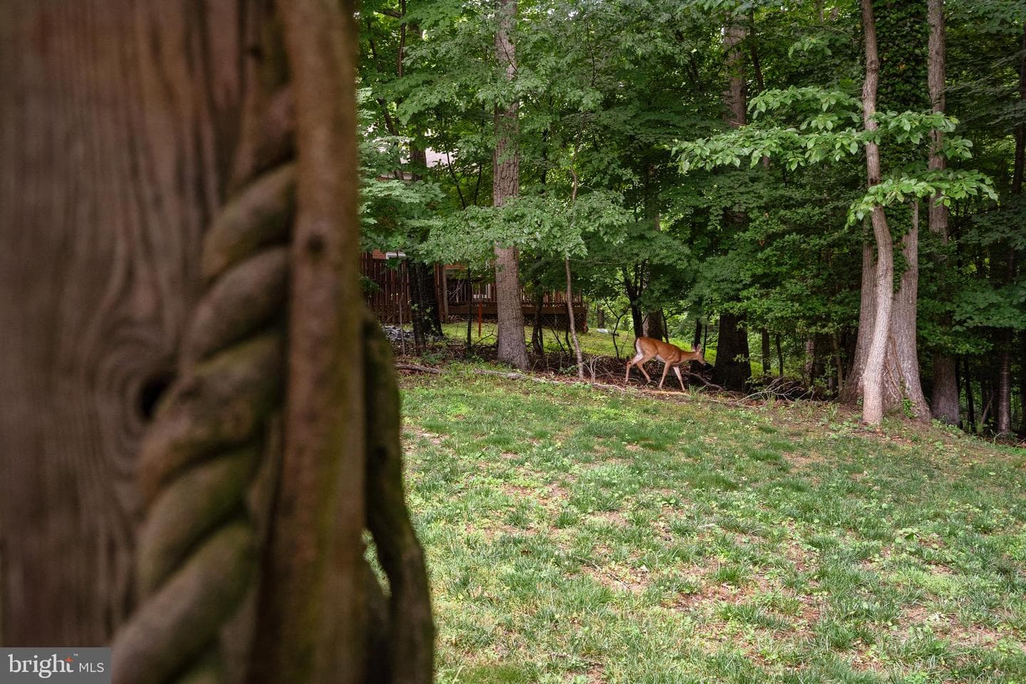 2303 Middle Creek Lane photo 47