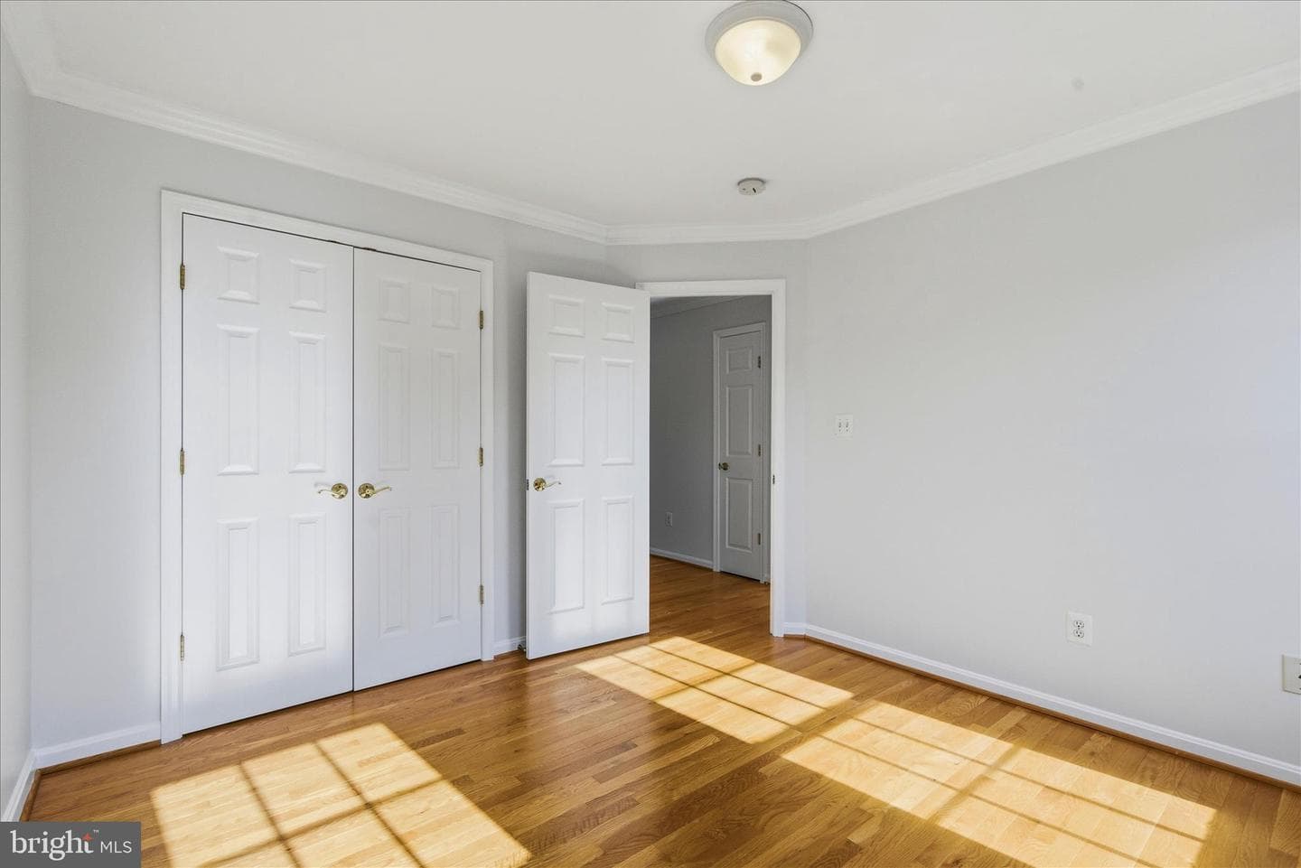 7567 Grey Goose Way photo 29