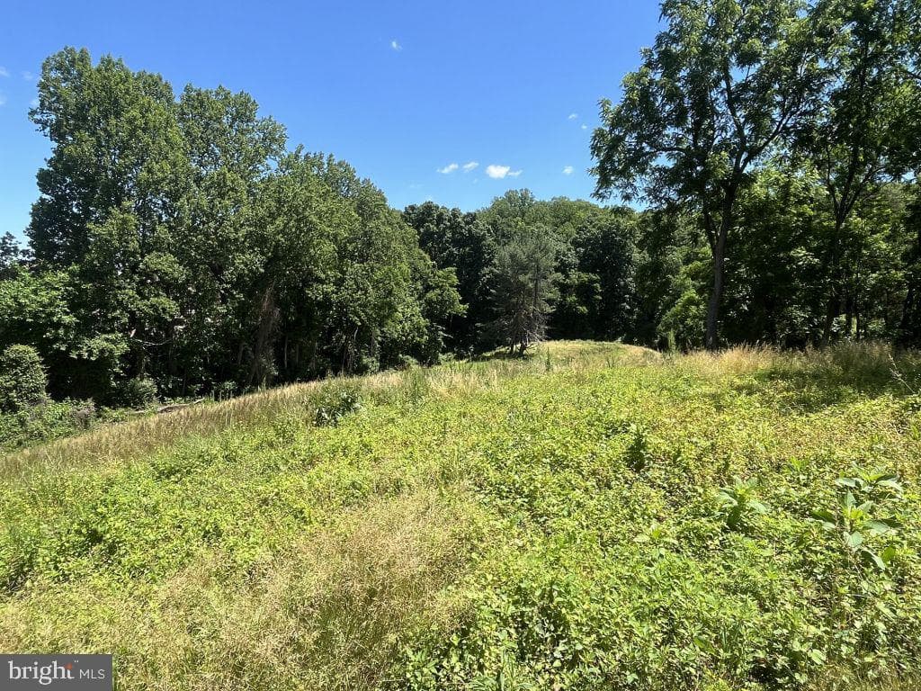 6830 Montivideo Square Ct photo 23