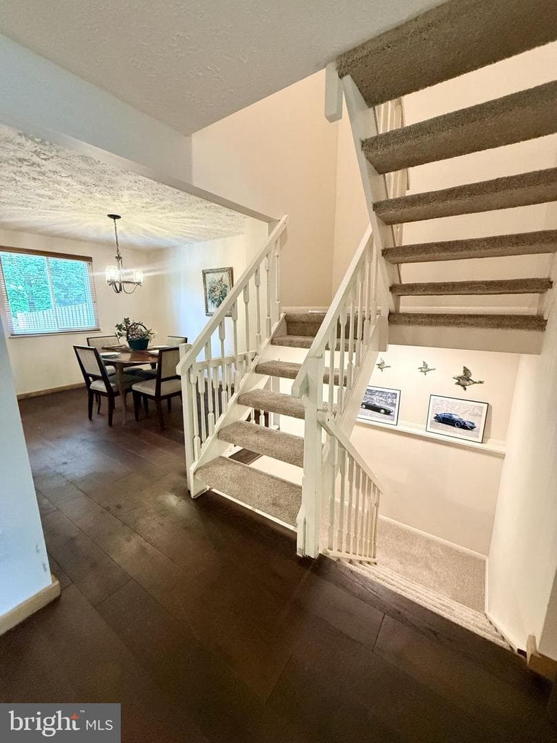 6830 Montivideo Square Ct photo 3