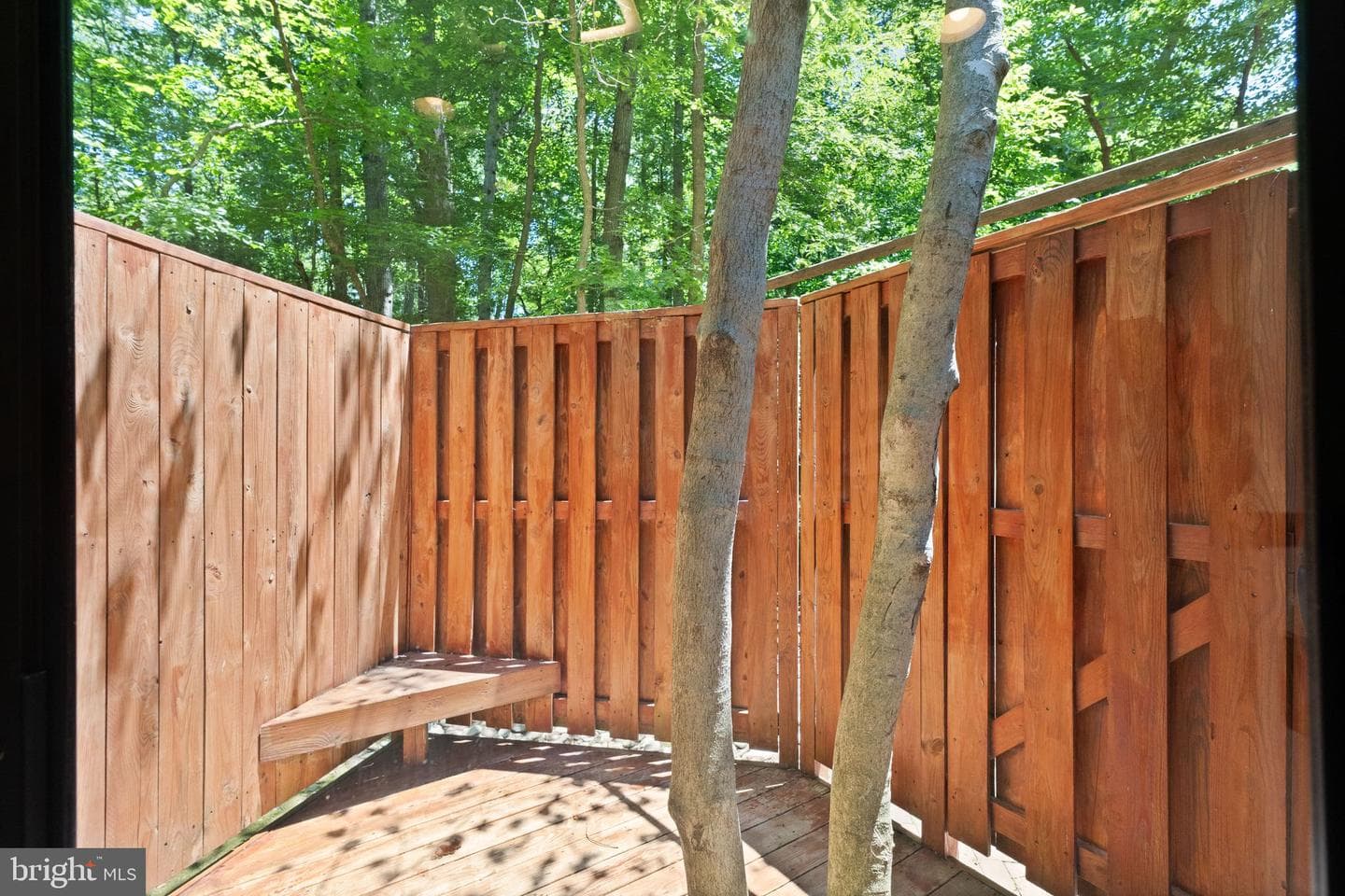 11609 Sourwood Lane photo 36