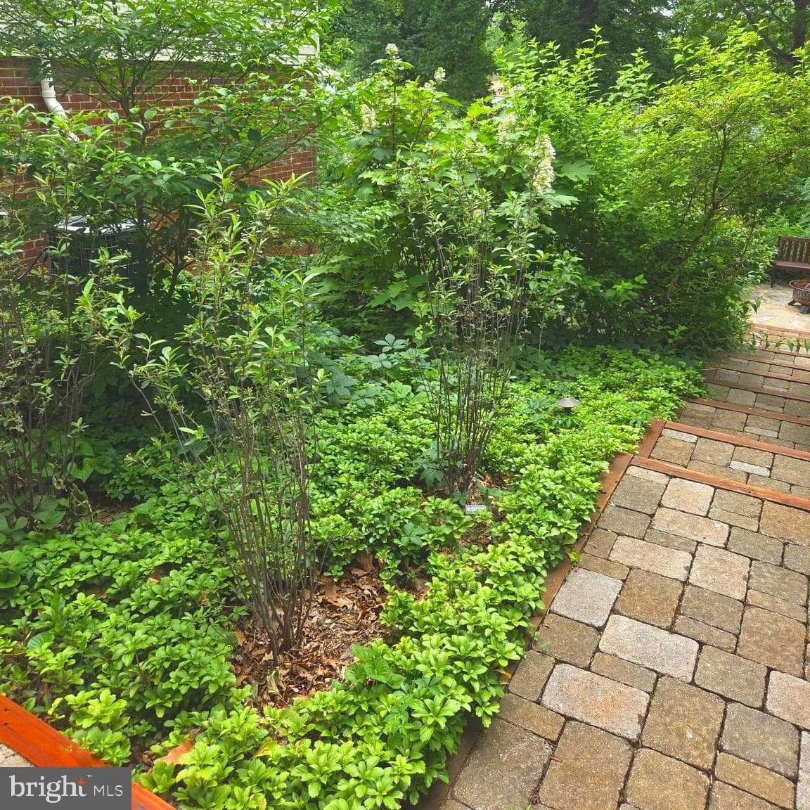 7411 Ellwood Place photo 33