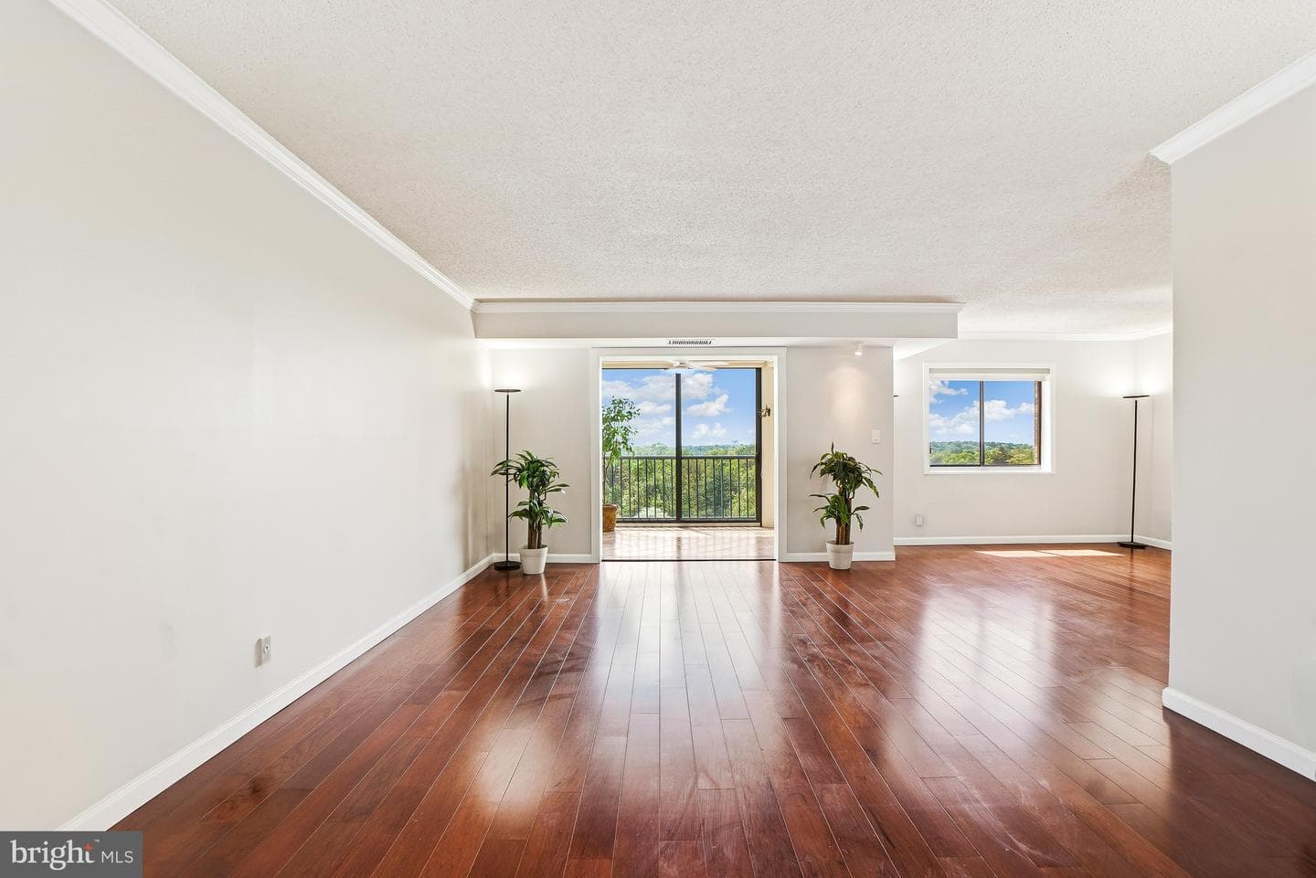 5901 Mount Eagle Drive #1005 photo 3