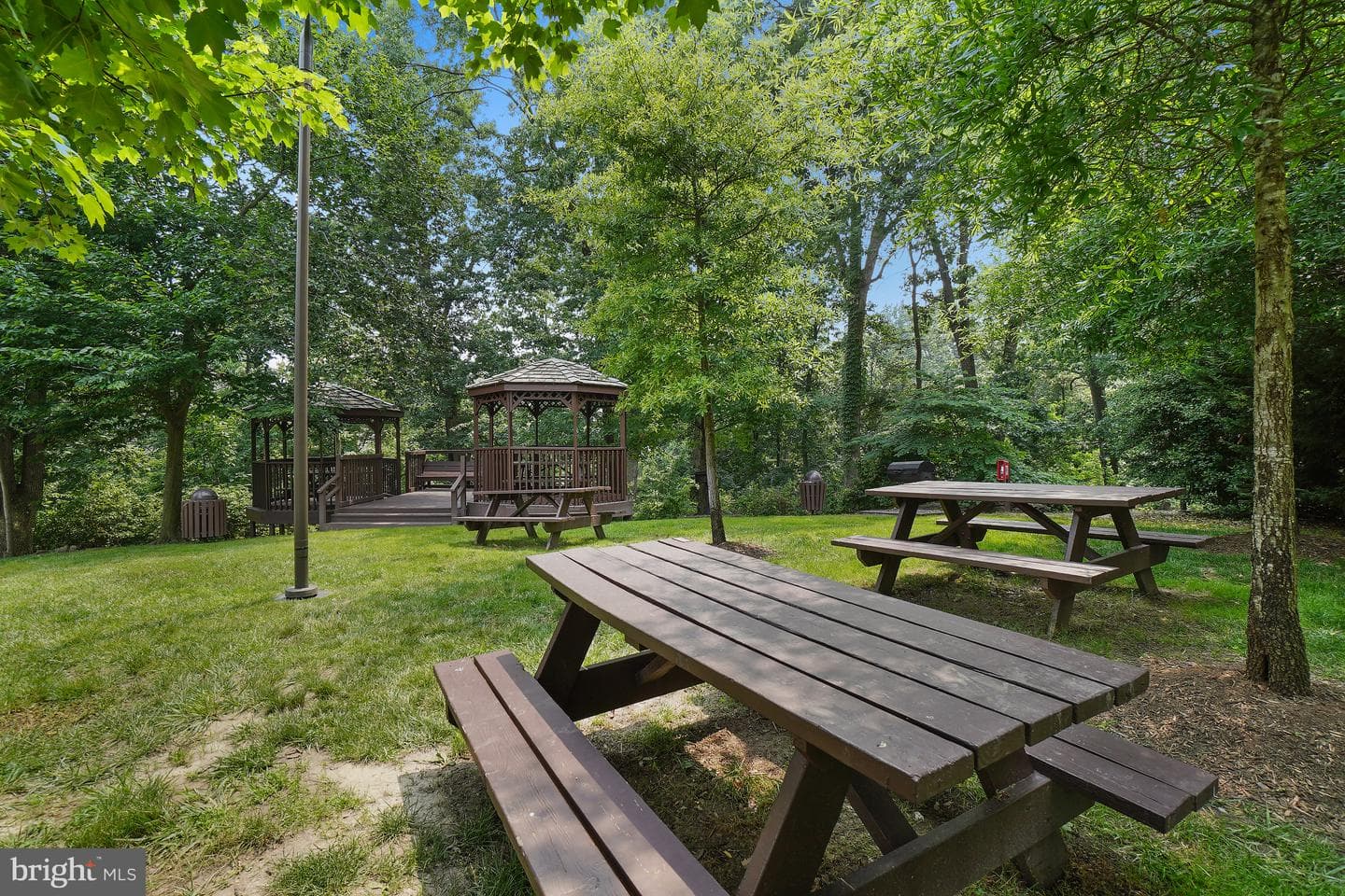 5901 Mount Eagle Drive #1005 photo 91