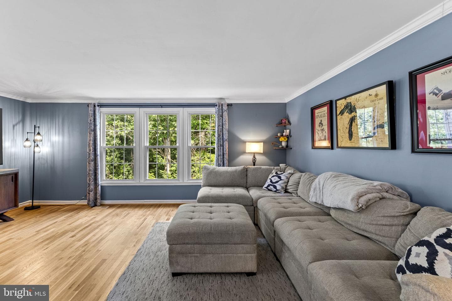 14480 Black Horse Court photo 29